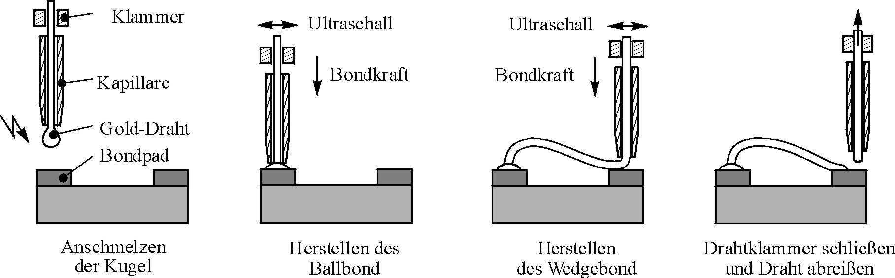 alt: "Ablauf des Bondens", src: "Wikipedia-Commons", w:75